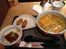 Last meal in Nagoya, kishimen (local noodle) and chicken wings!
