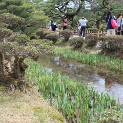 Kenroku Garden, one of the three best gardens in the country.